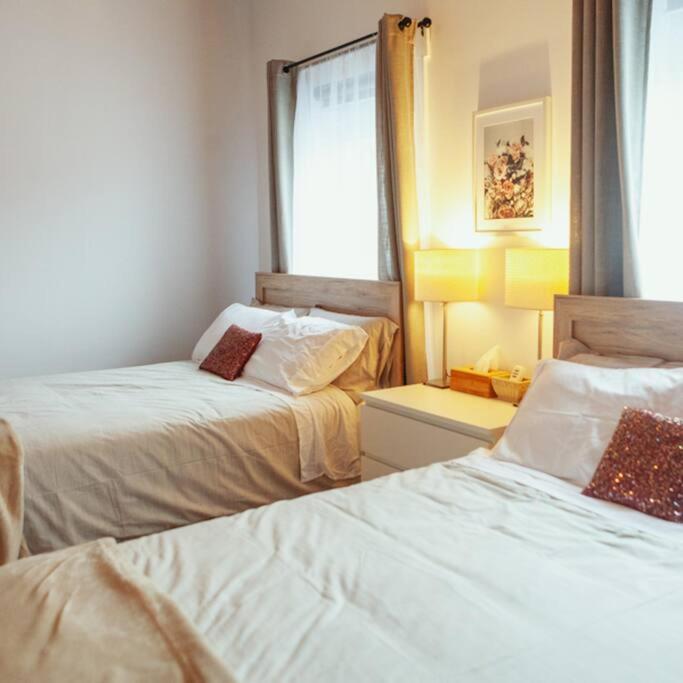Large Upstairs Flat In Downtown Century Building Apartment Belleville Bagian luar foto